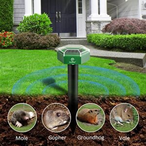 Careland Mole Repellent Stakes Solar Powered Ultrasonic Gopher Deterrent Groundhog Repeller Sonic Spikes Outdoor Vole Control Chaser for Lawn and Garden Waterproof (6pack)