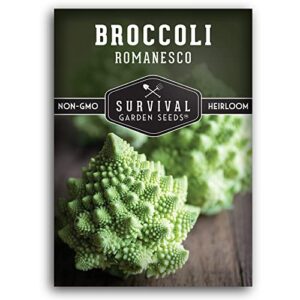 survival garden seeds – romanesco broccoli for planting – packet with instructions to plant and grow delicious & beautiful fractal broccoli heads your home vegetable garden – non-gmo heirloom variety