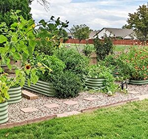 VEGEGA. 17 Inch Tall 9 in 1 Raised Garden Bed Kit, Large Zinc-Aluminum-Magnesium Stainless Steel Metal Planter Box, for Planting Outdoor Plants Vegetables (Green 1)