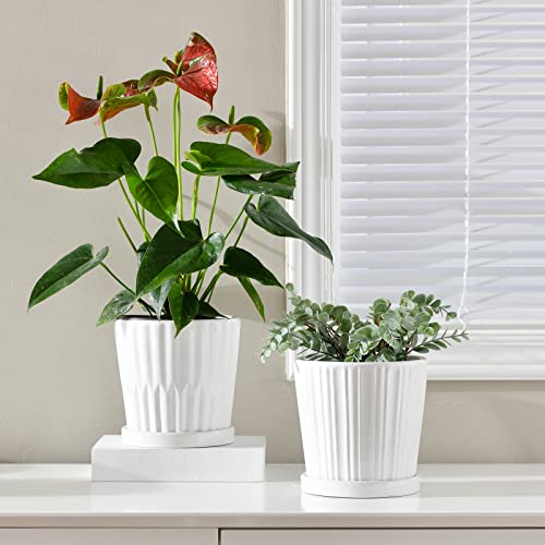 Ton Sin Plant Pots,White 6 Inch Flower Pots for Plants,Ceramic Planter with Drainage Holes,Indoor Planter Pots with Saucer,Outdoor Garden Pots (White, 4 Pack)