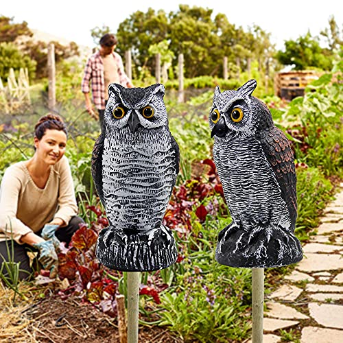 Hausse 2 Pack Fake Horned Owl Bird Scarecrow Decoy, Plastic Owl Bird Deterrents, Halloween Outdoor Decoration, Nature Enemy Pest Repellent for Outdoor Garden Yard