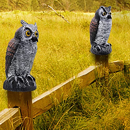 Hausse 2 Pack Fake Horned Owl Bird Scarecrow Decoy, Plastic Owl Bird Deterrents, Halloween Outdoor Decoration, Nature Enemy Pest Repellent for Outdoor Garden Yard