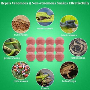 24Pcs Snake Away Repellent for Outdoors Indoor, Snake Repellent Balls for Snakes Rats and Other Pests, for Yard Lawn Garden Camping Fishing, Natural Plant Formula Pest Insect Control, Pet Safe