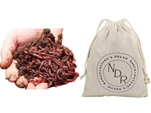 nature’s dream ranch 50 count red wiggler worms vermicomposting garden red earthworm