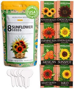 sunflower seeds for planting outside | 8 variety pack | perennial flower seed for your sunflower garden – plant mexican, lemon queen, autumn beauty | dwarfs: sunspot, velvet queen & more