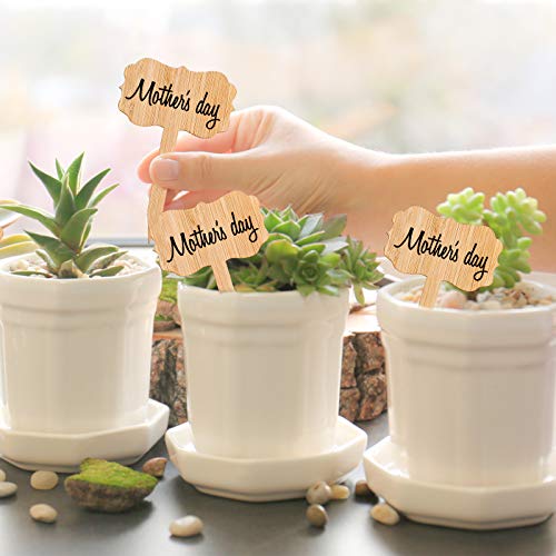 Whaline 60Pcs Bamboo Plant Labels with 1 Marker Pen Eco-Friendly T-Type Wooden Plant Sign Tags Wood Garden Markers Decorative Garden Tags for Seed Potted Herbs Flowers Vegetables (6.5 X 10 cm)