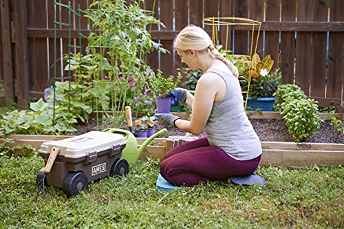 AMES 20213200 Rolling Lawn & Garden Storage Cart