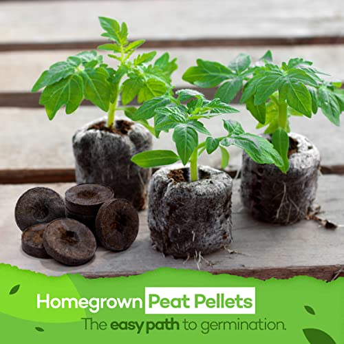 Seed Starter Peat Pellets for Gardening – Plant Seed Starter Pods for Planting Veggies, Flower Seeds, and Herb Garden Cuttings – Peat Moss Garden Starter Soil Pellets by Home Grown (36mm, 100count)