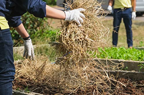 Premium Garden Straw (4 LBS) - Straw Mulch That is Designed for Use in Compost Beds, Gardens, Pet Bedding, Lawns and Much More. by Home and Country USA