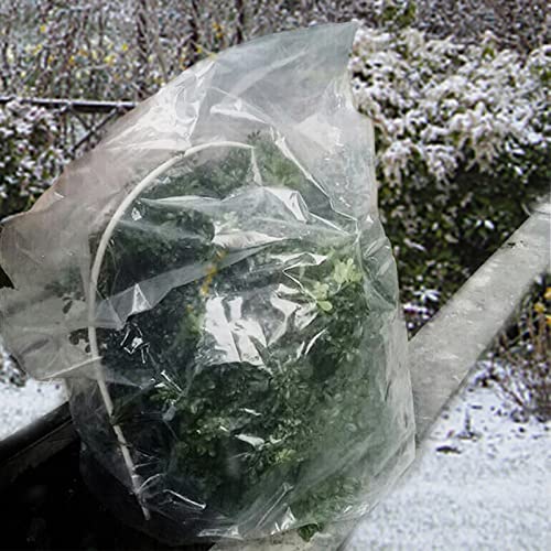 ANPHSIN 6 Pcs Winter Plant Film Cover with Drawstring- 35.4" x 59.1" Plastic Plant Cover Freeze Protection Transparent Waterproof Plant Shelter Bag for Outdoors Garden Plants Shrubs Sapling Crops