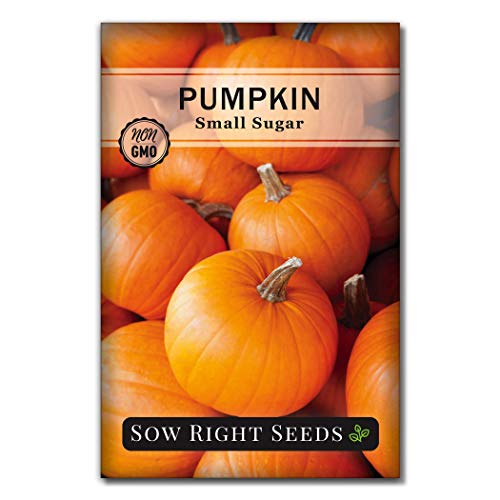 Sow Right Seeds - Small Sugar Pumpkin Seed for Planting - Non-GMO Heirloom Packet with Instructions to Plant a Home Vegetable Garden - Great Gardening Gift (1)