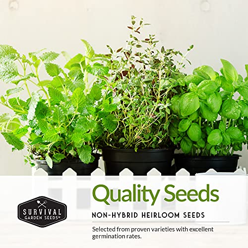 Indoor Garden Vegetables Hydroponic Survival Garden Seeds - Non-GMO Heirloom Vegetable Varieties for an Apartment Victory Garden - Container-Friendly - Plant Indoors or Outdoors - Survival Garden