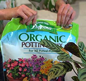 Espoma Organic Potting Soil Mix - All Natural Potting Mix For All Indoor & Outdoor Containers Including Herbs & Vegetables. For Organic Gardening, 8qt. bag. Pack of1