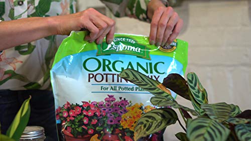 Espoma Organic Potting Soil Mix - All Natural Potting Mix For All Indoor & Outdoor Containers Including Herbs & Vegetables. For Organic Gardening, 8qt. bag. Pack of1