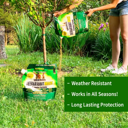 Nature's MACE Deer & Rabbit Repellent 6lb / Covers 6,000 Sq. Ft. / Repel Deer from Your Home & Garden / Safe to use Around Children, Plants & Produce / Protect Your Garden Instantly