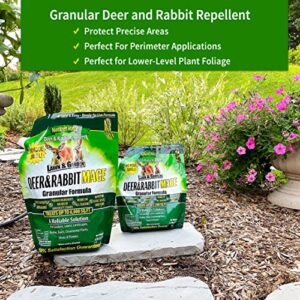 Nature's MACE Deer & Rabbit Repellent 6lb / Covers 6,000 Sq. Ft. / Repel Deer from Your Home & Garden / Safe to use Around Children, Plants & Produce / Protect Your Garden Instantly