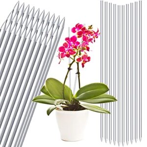 30 pcs 15.6 inch acrylic plant stakes garden stakes clear orchid stakes clear plant sticks potted plant support stakes for supporting vines grow upright