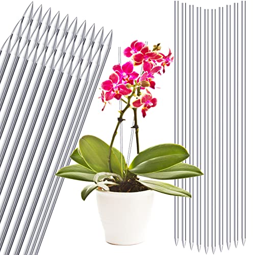 30 Pcs 15.6 Inch Acrylic Plant Stakes Garden Stakes Clear Orchid Stakes Clear Plant Sticks Potted Plant Support Stakes for Supporting Vines Grow Upright