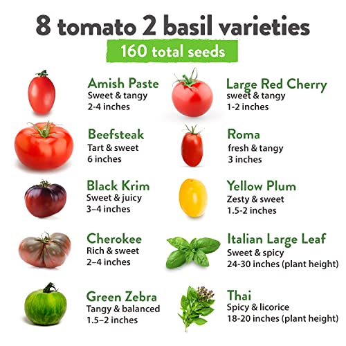 Heirloom Tomato Seeds for Planting (10pk) w/Basil Seeds | 100% Non-GMO Tomatoes: Cherry, Roma, Beefsteak, Zebra, Yellow Plum, Amish Paste, Cherokee, Krim, Italian Basil, Thai Basil Seed