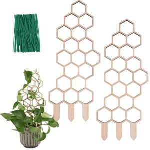 wellsign wooden trellis for potted plants, 16inch small garden plant trellis for climbing plants indoor with moisture-proof layer for ivy vine plant, honeycomb trellis flower pot plant support 2pack