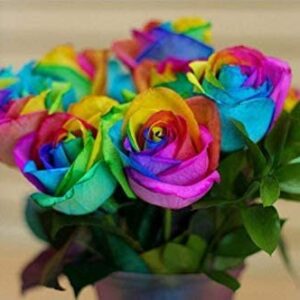 50+ Rare Multi Colorful Rainbow Rose Flower Seeds Beautiful Flower Potted Plant Home Garden