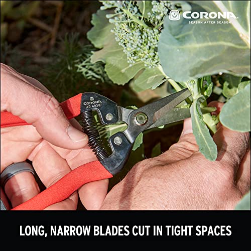 Corona AG 4930 Long Straight Snip, Tempered Steel