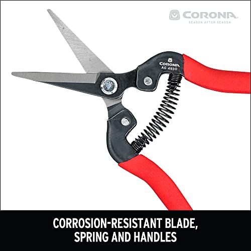 Corona AG 4930 Long Straight Snip, Tempered Steel