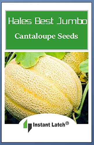 50 Hales Best Jumbo Cantaloupe | Non-GMO | Fresh Garden Seeds