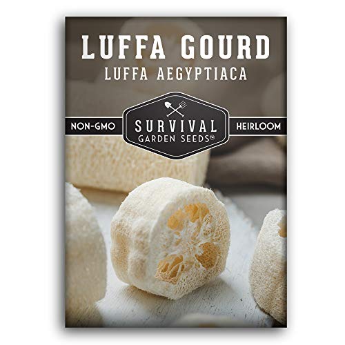 Survival Garden Seeds - Luffa or Loofah Seed for Planting - Packet with Instructions to Plant and Grow Ornamental Gourds in Your Home Vegetable Garden - Non-GMO Heirloom Variety - 1 Pack