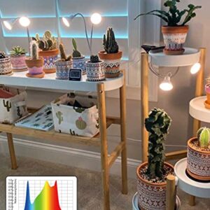 APLANT Grow Lights, Dual Head Plant Light for Indoor Plants, 360° Adjustable Gooseneck Plant Light with 6/10/12H Timer, Full Spectrum Clip-on Grow Lamp for Herb Garden/Succulents Growth