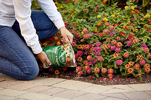 Scotts All Purpose Flower and Vegetable Continuous Release Plant Food, 3-Pound