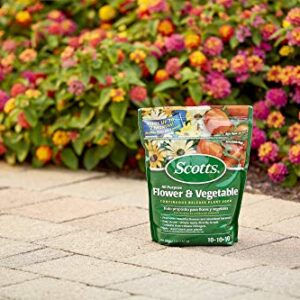 Scotts All Purpose Flower and Vegetable Continuous Release Plant Food, 3-Pound