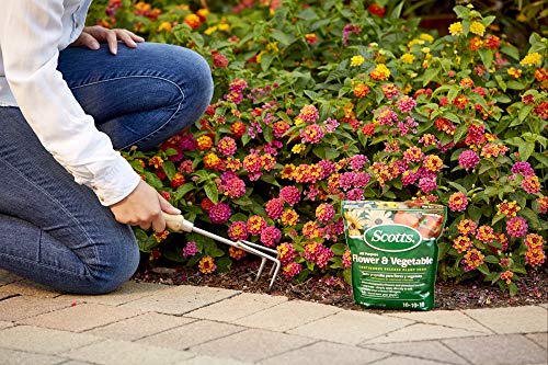 Scotts All Purpose Flower and Vegetable Continuous Release Plant Food, 3-Pound