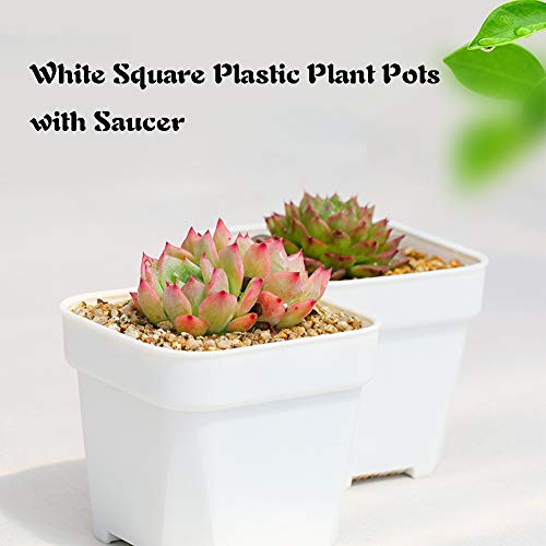 OJYUDD 3inch White Square Plastic Plant Pots with Saucer,24 Pcs Plastic Flower Pots for Plants,Plant Pots with Drainage Hole for Home,Company,Office and Garden(White)