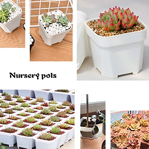 OJYUDD 3inch White Square Plastic Plant Pots with Saucer,24 Pcs Plastic Flower Pots for Plants,Plant Pots with Drainage Hole for Home,Company,Office and Garden(White)