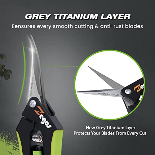 Zegos Bud Trimming Scissor 1 Pack with Curved Blades and Titanium Non-sticky Coating, Precision Pruning Shears, Hand Pruning Snips, Garden Scissors for Herb and Bud Trimming, Bonsai Cutting