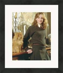 emma watson 8×10 photo (harry potter, hermione granger) #3 matted & framed