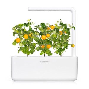 Click and Grow Smart Garden Yellow Tomato Plant Pods, 3-Pack