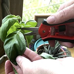 Corona FS 4120 Hydroponic Micro Snip Scissors for Gardening, Landscaping Herbs, Flowers and seedlings, 6-Inch, Red