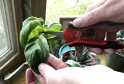 Corona FS 4120 Hydroponic Micro Snip Scissors for Gardening, Landscaping Herbs, Flowers and seedlings, 6-Inch, Red