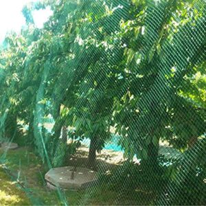 CandyHome Bird Netting for Garden,13Ft x 33Ft Reusable Garden Netting Plants Barrier, Plant Netting Mesh Net Protect Fruit Trees Seedlings Plants from Birds, Squirrels, Cicadas,Rodents