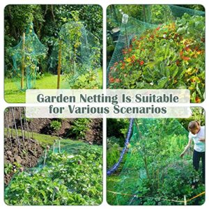 CandyHome Bird Netting for Garden,13Ft x 33Ft Reusable Garden Netting Plants Barrier, Plant Netting Mesh Net Protect Fruit Trees Seedlings Plants from Birds, Squirrels, Cicadas,Rodents