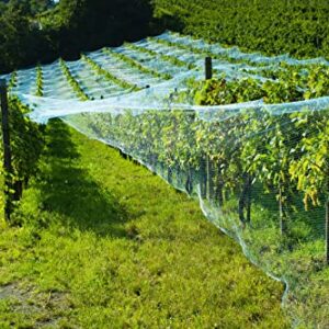 CandyHome Bird Netting for Garden,13Ft x 33Ft Reusable Garden Netting Plants Barrier, Plant Netting Mesh Net Protect Fruit Trees Seedlings Plants from Birds, Squirrels, Cicadas,Rodents