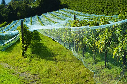 CandyHome Bird Netting for Garden,13Ft x 33Ft Reusable Garden Netting Plants Barrier, Plant Netting Mesh Net Protect Fruit Trees Seedlings Plants from Birds, Squirrels, Cicadas,Rodents