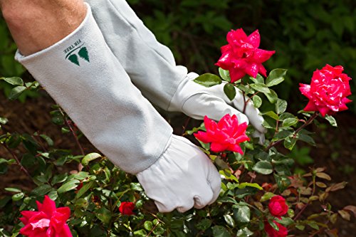 Leather Gardening Gloves by Fir Tree. Premium Goatskin Gloves With Cowhide Suede Gauntlet Sleeves. Perfect Rose Garden Gloves. Men's and Women's Sizes. M-8 (See Size Chart Photo)