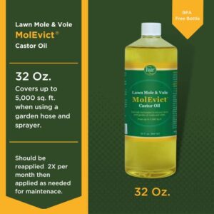 Baar Products - MolEvict Lawn Mole Castor Oil - Mole & Vole Repellent - Lawn & Garden Protection - Up to 5,000 Sq. Ft. of Coverage - Safe for Use Around House & Plants - 32 Ounces