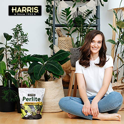 Harris Premium Horticultural Perlite for Plants and Gardening, 8qt to Promote Root Growth and Soil Health