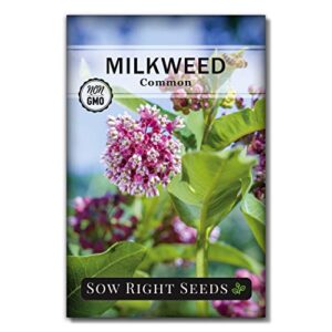 sow right seeds common milkweed seeds; attract monarch butterflies to your garden; non-gmo heirloom seeds; full instructions for planting, wonderful gardening gift (1)