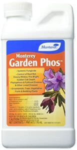 monterey nlg3304, 1 pint garden phos, brown/a