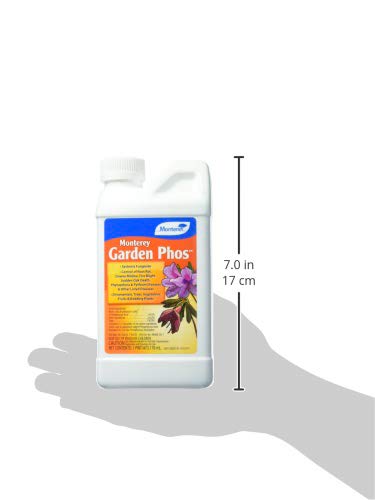 Monterey NLG3304, 1 Pint Garden Phos, Brown/A